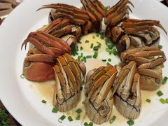 -高佳庄·海鲜酒楼(定海店)