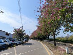 -广东花都湖国家湿地公园