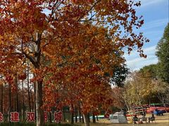 -上海长兴岛郊野公园