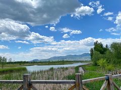 -野鸭湖国家湿地公园