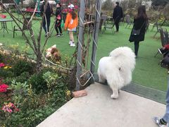 -三圣花乡旅游区