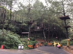 -梦幻奥陶纪景区