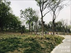 -白鹭湾湿地公园