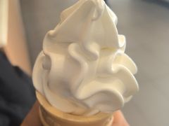 -麦当劳(东大桥店)