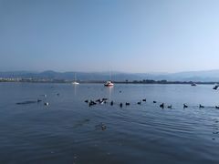 -西昌邛海湿地