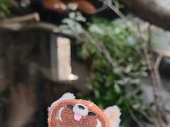 -红山森林动物园
