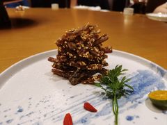 -广州富力君悦大酒店空中花园