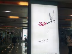 -常州奔牛国际机场