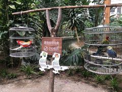 -南宫五洲植物乐园