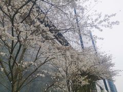 -望江楼公园