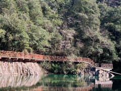 -龙湾潭国家森林公园