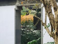 -秋霞圃