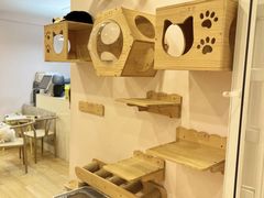 -猫咪派对(江南西店)
