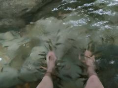 -天目湖涵田度假村
