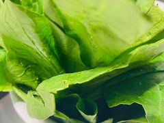 菠菜-洪氏嗨捞·猪肚鸡火锅(阳光天地店)