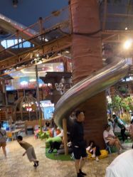 -卡通尼·Safari非洲探索乐园·生日会(金桥国际商业广场店)