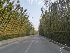 -中国唐苑