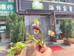 -滨海小渔村·海肠捞饭·鲅鱼水饺·特色老火鱼丸汤(华田店)