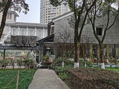 -重庆市江北嘴中央商务区中央公园