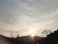 -大屏嶂森林公园