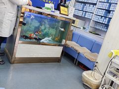 -朋朋修脚(友好广场店)