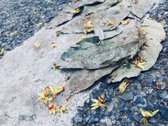 -尚贤河湿地