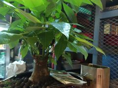-湘当爱·鲜煮现炒(松岗立业路店)
