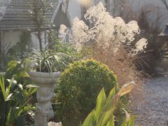 -Jo's Garden