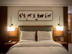 -日喀则乔穆朗宗酒店