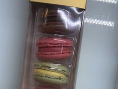 -爱维尔阳光蛋糕(越湖店)