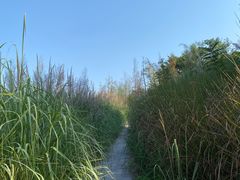 -金海湾滨江公园