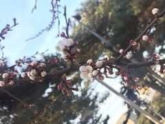 -东北大学(南湖校区)