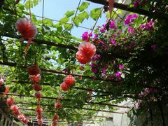 -罗家巷子休闲庄自助碳烤