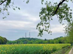 -八卦田遗址公园