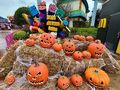 -七彩云南欢乐世界