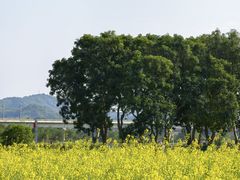 -光明小镇欢乐田园