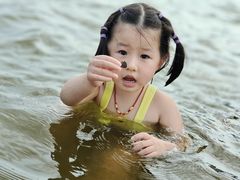 -碧海金沙
