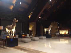 -三亚湾海居铂尔曼度假酒店