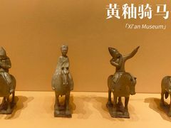 -西安博物院