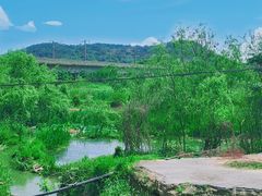 -青龙山国家森林公园