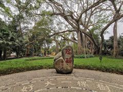 -瑞丽独树成林风景区