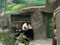 -灵玲国际马戏城