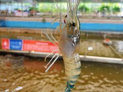 -粮心小农·大头虾亲子生态园(长发店)