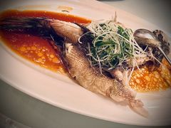 -老洋房花园饭店(绍兴路店)