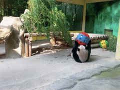 -杭州野生动物世界