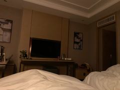 -南京维景国际大酒店(南京博物院店)