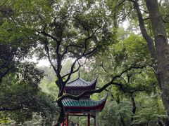 -岳麓山风景名胜区