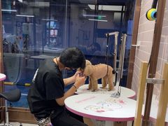 -FAELING PETS美天灵宠物(富力广场店)