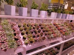-深圳龙华星河COCO City(民治店)