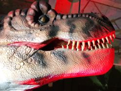 -恐龙探索乐园(磁器口店)